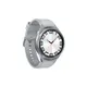 Samsung Galaxy Watch 6 Classic SM-R965F 47mm, LTE, silver