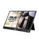 ASUS MB16AWP 39.6 cm (15.6") Full HD Monitor