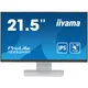 iiyama ProLite T2252MSC-W2 54,5cm (21,5") FHD IPS Multitouch-Monitor HDMI/DP/USB