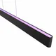 Philips Hue White & Color Ambiance Ensis Pendelleuchte schwarz