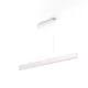 Philips Hue White & Color Ambiance Ensis Pendelleuchte weiß