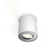 Philips Hue White Ambiance Pillar Spot 1 flg. 350lm inkl. Dimmschalter weiß