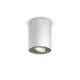 Philips Hue White Ambiance Pillar Spot 1 flg. 350lm inkl. Dimmschalter weiß