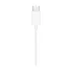 Apple EarPods (USB-C)
