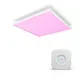 Philips Hue White & Col. Amb. Surimu 60x60cm + Bridge