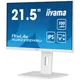 iiyama ProLite XUB2292HSU-W6 54,6cm (21,5") FHD IPS Monitor HDMI/DP/USB 100Hz