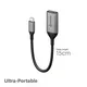 ALOGIC Ultra USB-C (männlich) auf HDMI (weiblich) Adapter grau 15 cm