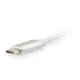 EQUIP 133457 USB-C auf Mini DisplayPort Adapter