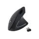 EQUIP 245110 Ergonomische Schnurlosmaus