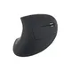 EQUIP 245110 Ergonomische Schnurlosmaus