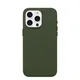 OtterBox Symmetry Cactus Leather iPhone 15 Pro Max Cactus Groove grün