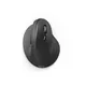 Hama 182699 Vertikale, ergonomische Funkmaus EMW-500, 6 Tasten, Schwarz