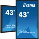 iiyama ProLite TF4339AS-B1AG 108cm (42,5") 4K All-in-One-PCAP Touch Monitor HDMI/DP