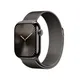 Apple Watch Series 10 LTE 42mm Slate Titangehäuse mit Slate Milanese Loop