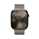 Apple Watch Series 10 LTE 46mm Natural Titangehäuse mit Natural Milanese Loop - M/L