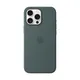 Apple Original iPhone 16 Pro Max Silikon Case mit MagSafe - Seegrün