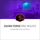 Magix SOUND FORGE Pro 18 Suite Download Code