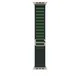Apple Watch Alpine Loop Armband für Watch Ultra 49mm Dunkelgrün / Titan natur (M)