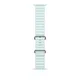 Apple Watch Ocean Armband für Watch Ultra 49mm Kristallblau / Titan Natur (One Size)