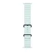 Apple Watch Ocean Armband für Watch Ultra 49mm Kristallblau / Titan schwarz (One Size)