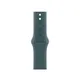 Apple Watch Sport Band für Watch 42mm Seegrün (M/L)