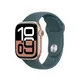 Apple Watch Sport Band für Watch 42mm Seegrün (M/L)
