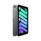 Apple iPad mini 2024 WiFi 128 GB Space Grau MXN63NF/A