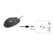 EQUIP 245102 Optische Deskmaus Schwarz