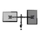 EQUIP 650152 13"-27" Bewegliche Dual Monitor/LCD-Tischhalterung