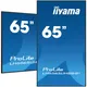 iiyama ProLite LH6565UHSB-B1 163,9cm (65") 4K UHD Signage Monitor DP/HDMI/RJ45