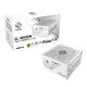 ASRock Steel Legend 850W Gold Gaming Netzteil modular ATX 3.1 PCIe 5.1 Weiß
