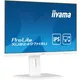 iiyama ProLite XUB2497HSU-W2