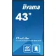 iiyama ProLite LH4360UHS-B2AG 108cm (42.5") 4K UHD Display