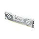 32GB (1x32GB) Kingston Fury Renegade White DDR5-6400 CL32 RAM Arbeitsspeicher
