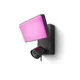Philips Hue Secure Flutlichtkamera