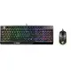 MSI Vigor GK30 Gaming Maus Tastaur Kombination kabelgebunden schwarz
