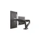 RaidSonic Icy Box IB-MS304-T Dual Monitorständer bis 68cm (27") schwarz