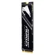 GIGABYTE AORUS Gen4 7300 SSD PCIe 4.0 x4, NVMe 1.4 1TB