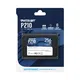 Patriot P210 SATA SSD 256GB 2,5 Zoll