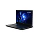 Erazer Scout 17 E1 17,3" FHD 144Hz i5-13420H 16/1TB SSD RTX5050 nOS MD62759