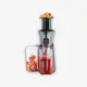 Severin ES 3571 Slow Juicer Entsafter 150W Edelstahl