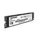 Patriot P320 SSD 1TB NVMe M2 2280
