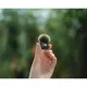 DJI MIC 3 Transmitter
