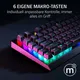 Razer BlackWidow V4 X DE-Layout, Green Switch (Clicky)