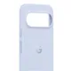 Google Pixel 10/10 Pro Case Frost