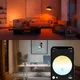 Philips Hue White E27 White und Color Ambiance Einzelpack 1600lm 100W