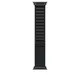 Apple 49 mm Alpine Loop Schwarz - Large - Titan Schwarz