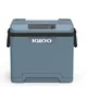 Igloo IE42C AC/DC Thermoelektrische Kühlbox 42l