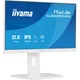 iiyama ProLite XUB2293HSU-W7 21.5 Zoll Full HD IPS LED 16:9 100 Hz Monitor