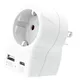 SKROSS Europa für USA USB AC20PD Reiseadapter mit USB 1.500284-E
